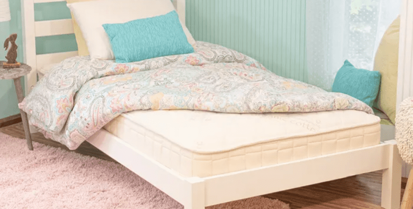 Best Toddler Mattress - Best Eco-Friendly - Naturepedic Organic 2-Stage Crib Mattress